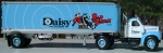 Daisy Red Ryder