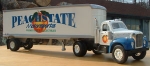 Peachstate Motor Sports
